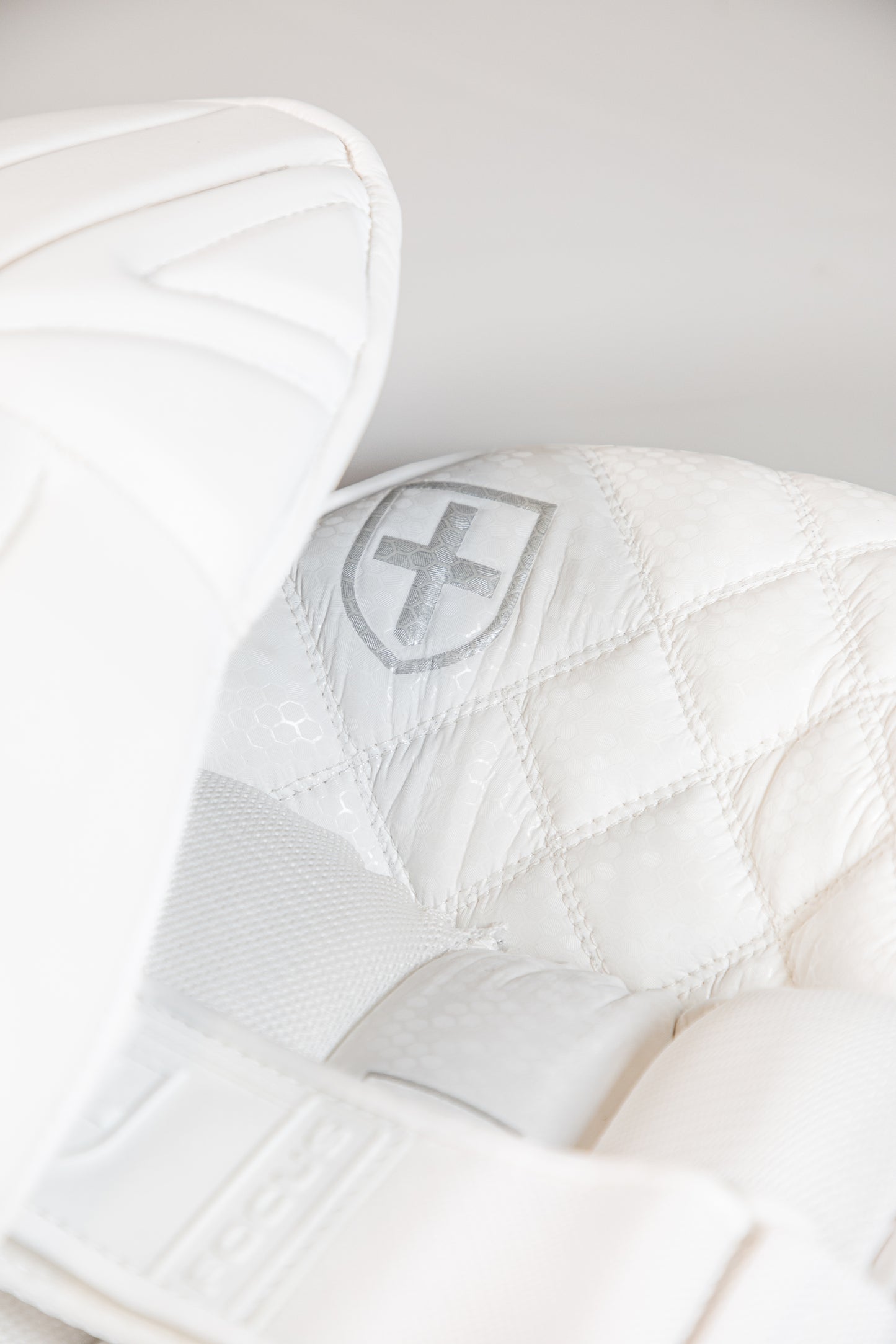 Focus PLAYER Edition Wicket Keeping Pads