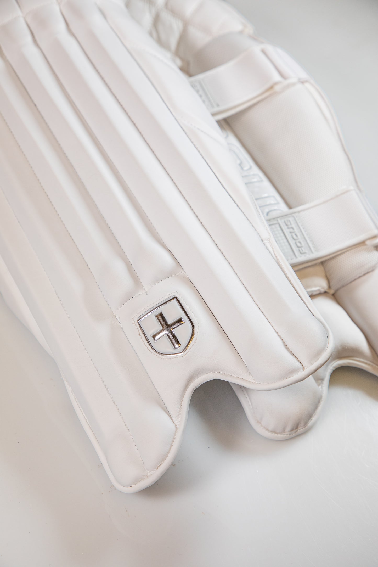Focus PLAYER Edition Wicket Keeping Pads
