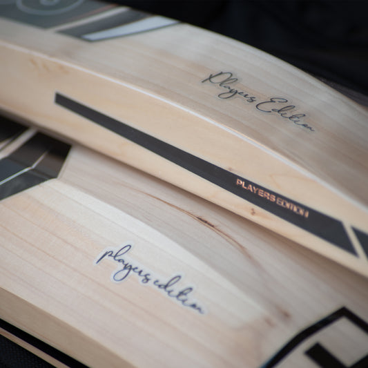 Cricket Bat Refurb with New Handle