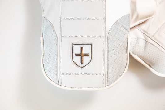 Focus PLAYER Edition Wicket Keeping Gloves